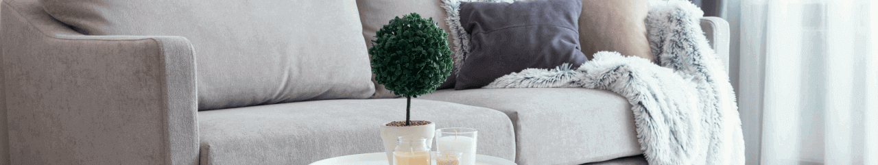 Interior Image Background